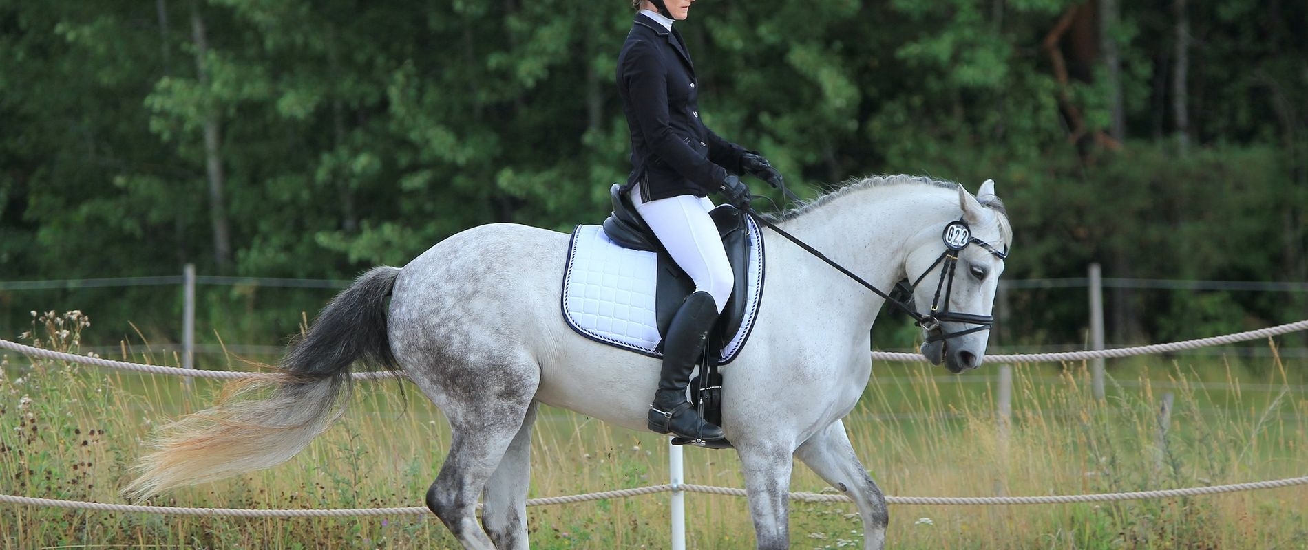 Dressage pony cantering