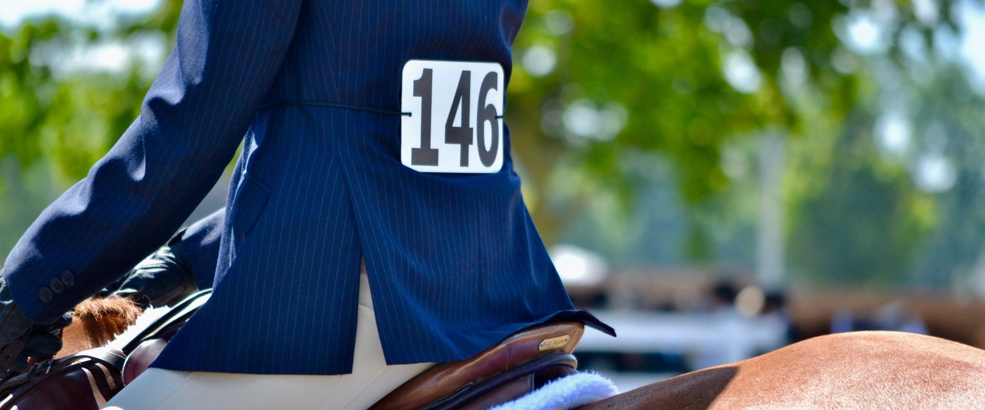 Female on the back of a brown horse with a competition number fixed to her show jacket