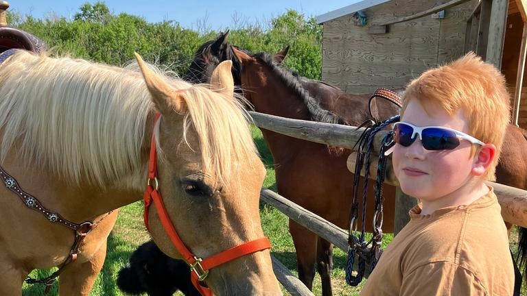 Boy in shades with palomino horse
