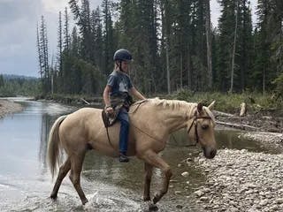 Girl riding palomino horse through rocky creek