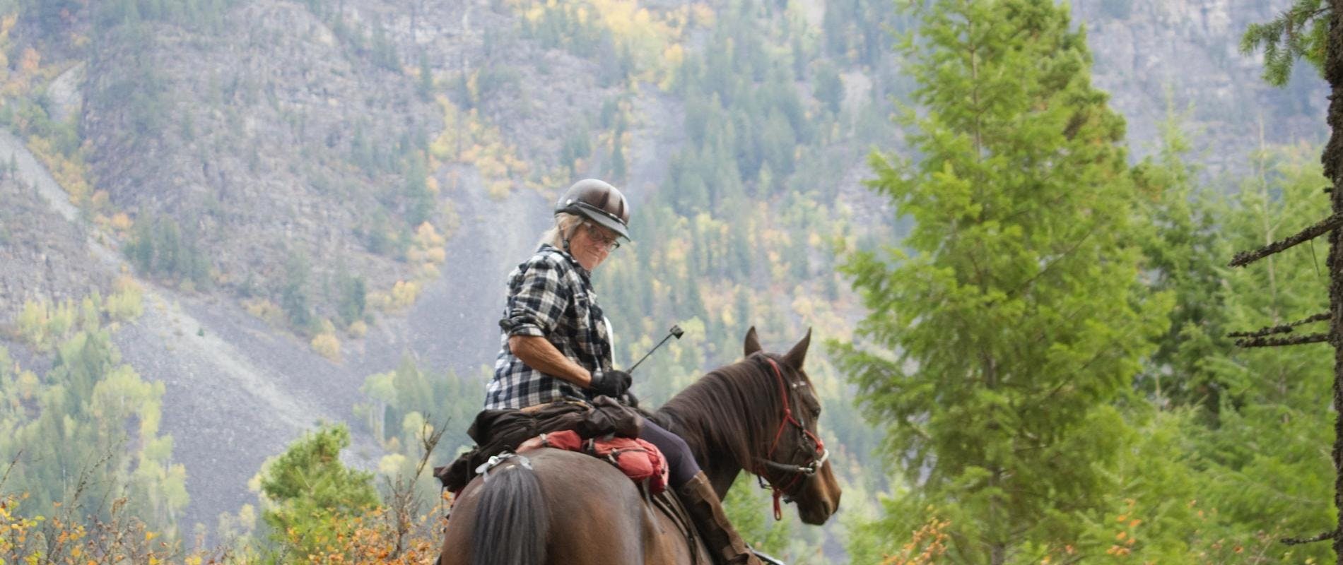 a female riding a dark bay on a mountain trail with wilderness in background