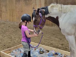 Young girl playing with her pinto pony