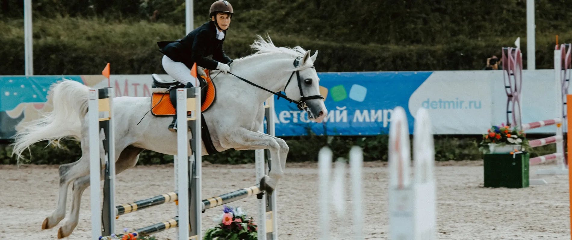 Grey horse jumping a relatively small jump in a sand ring
