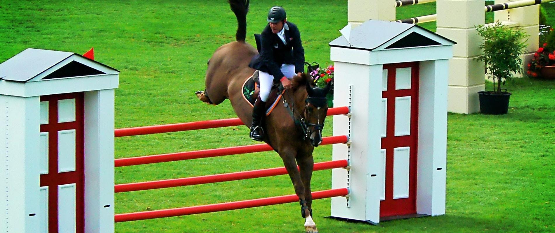 horse jumping over a jump on a turf field