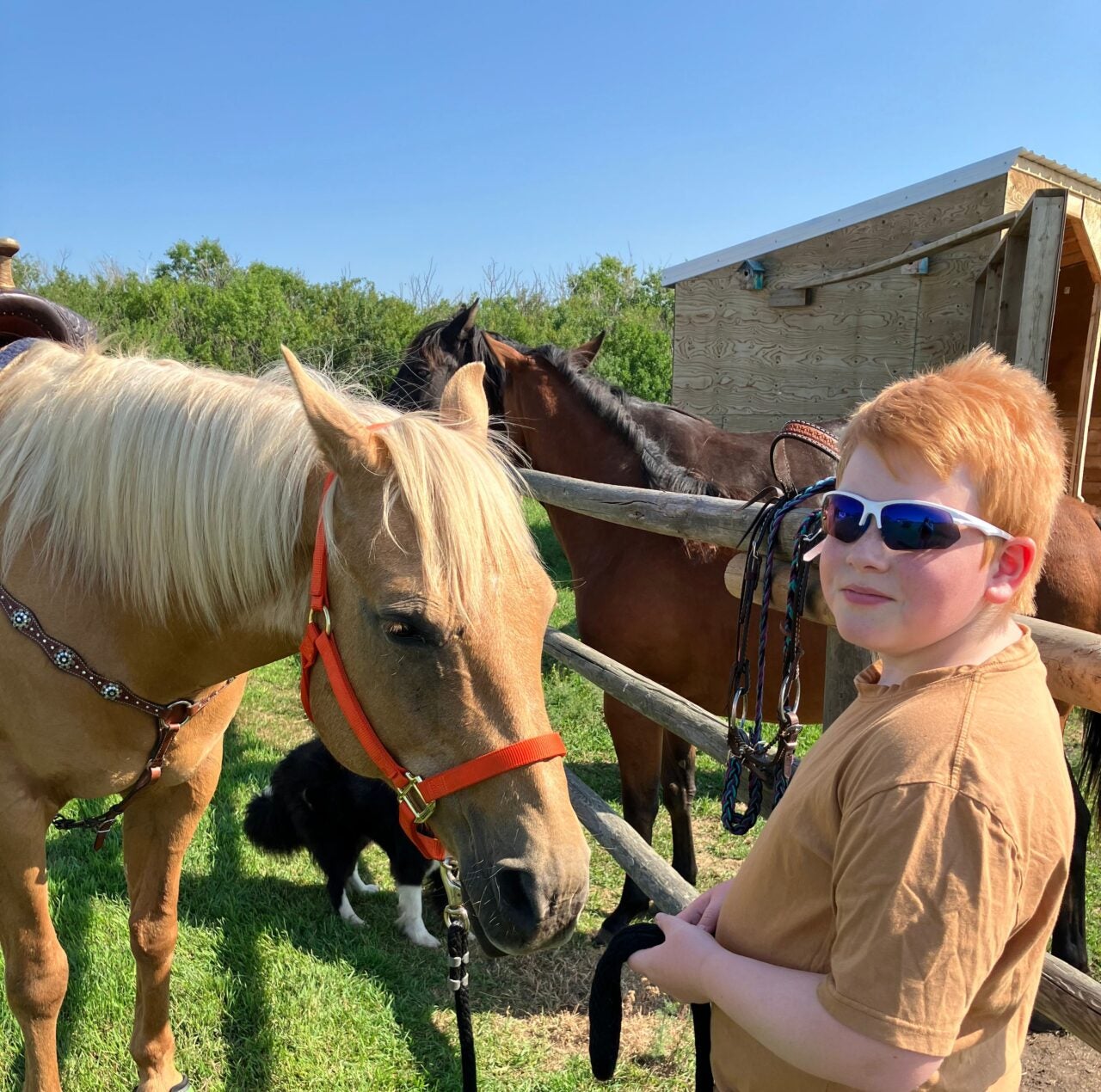 Live Outside the Box Winner for June