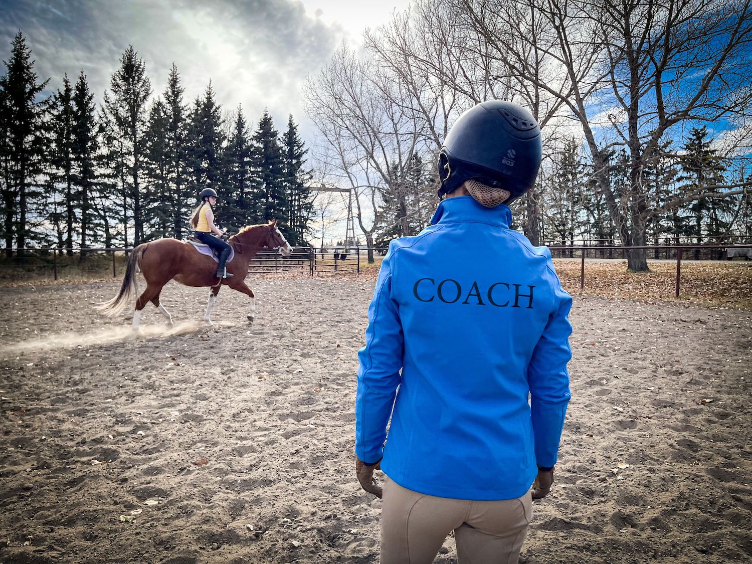 Coach in a blue jacket standing in an arena giving a lesson to a young lady on a chestnut horse