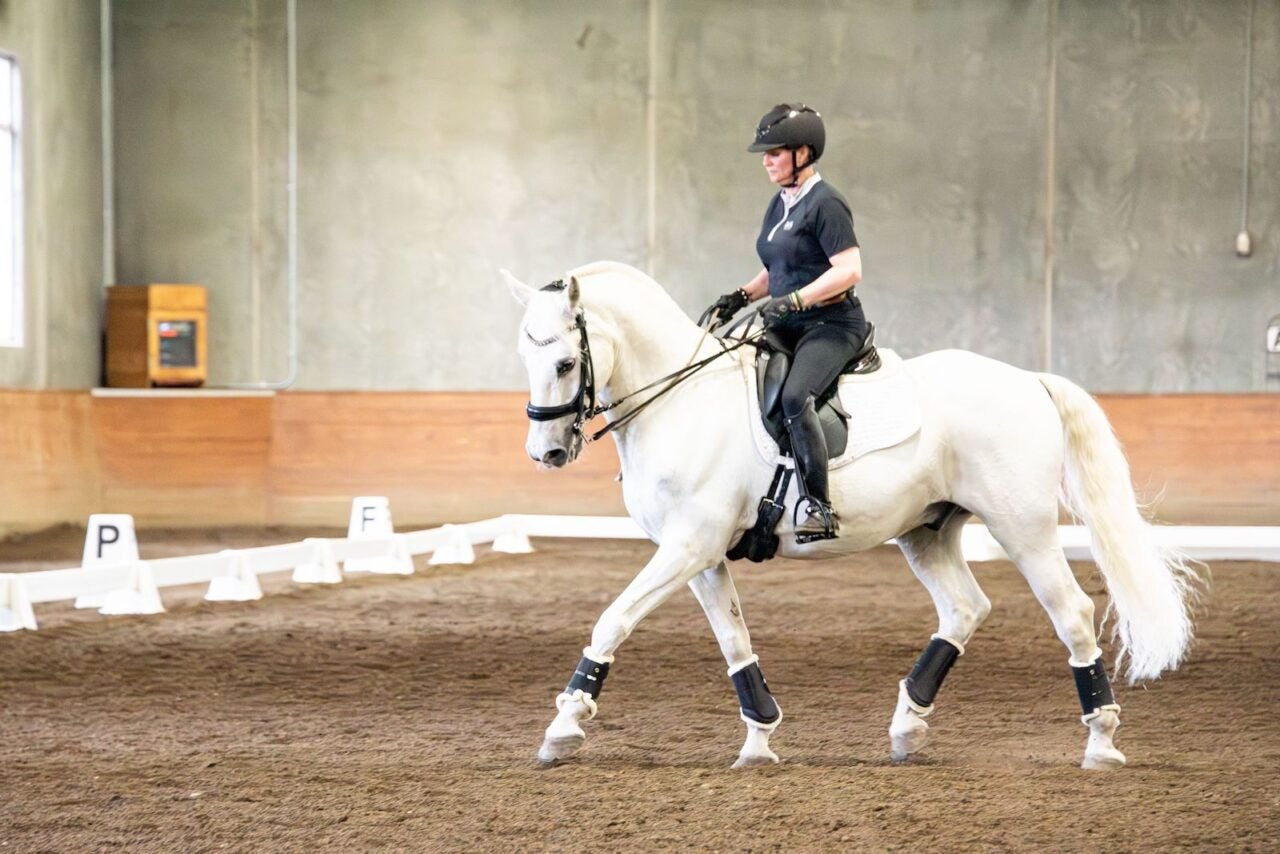 Renowned Canadian Dressage Rider to Conduct Gait to Success Clinic