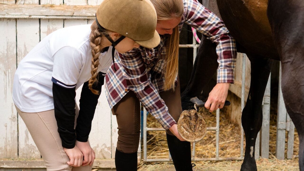 Instructor demonstrating how to pick out a horses front hoof to a young girl wearing a helmet