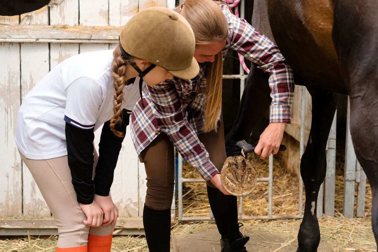 AEF Now Offering Continuing Education Funding