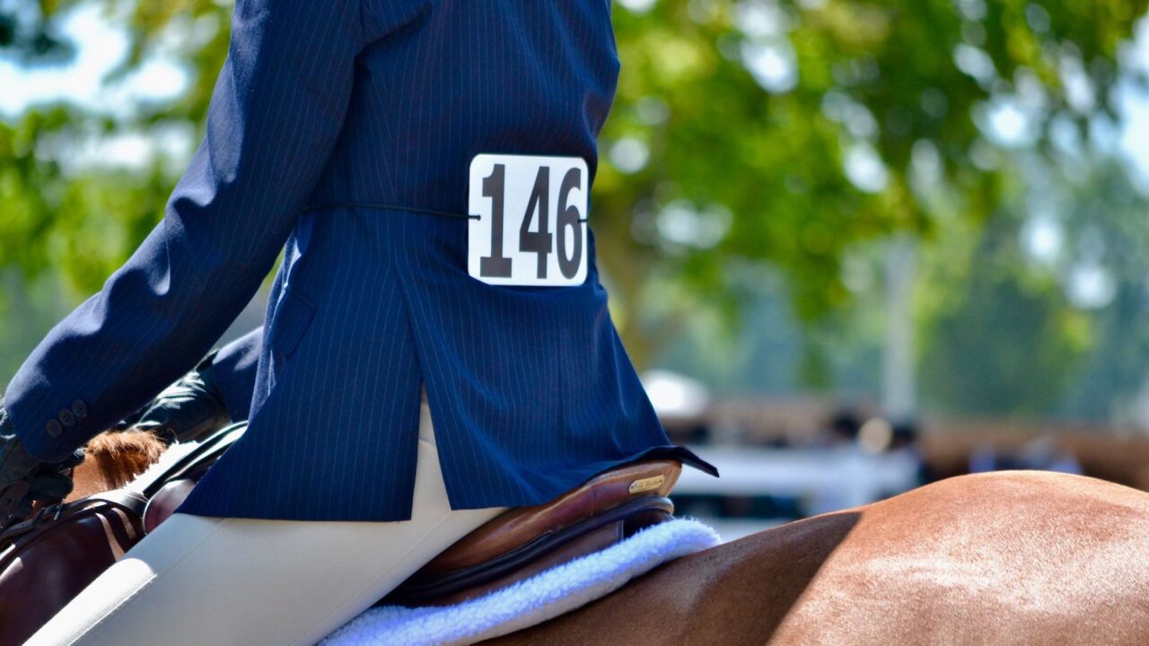 Woman on the back of a brown horse with a competition number fixed to her show jacket