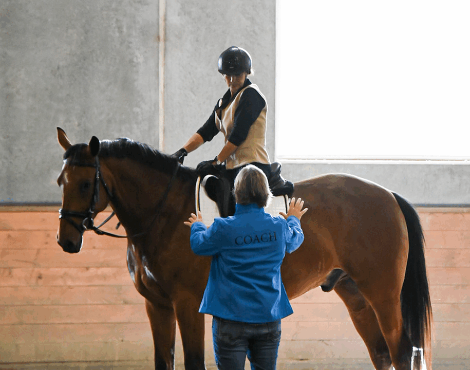 Instructor educating rider on a horse
