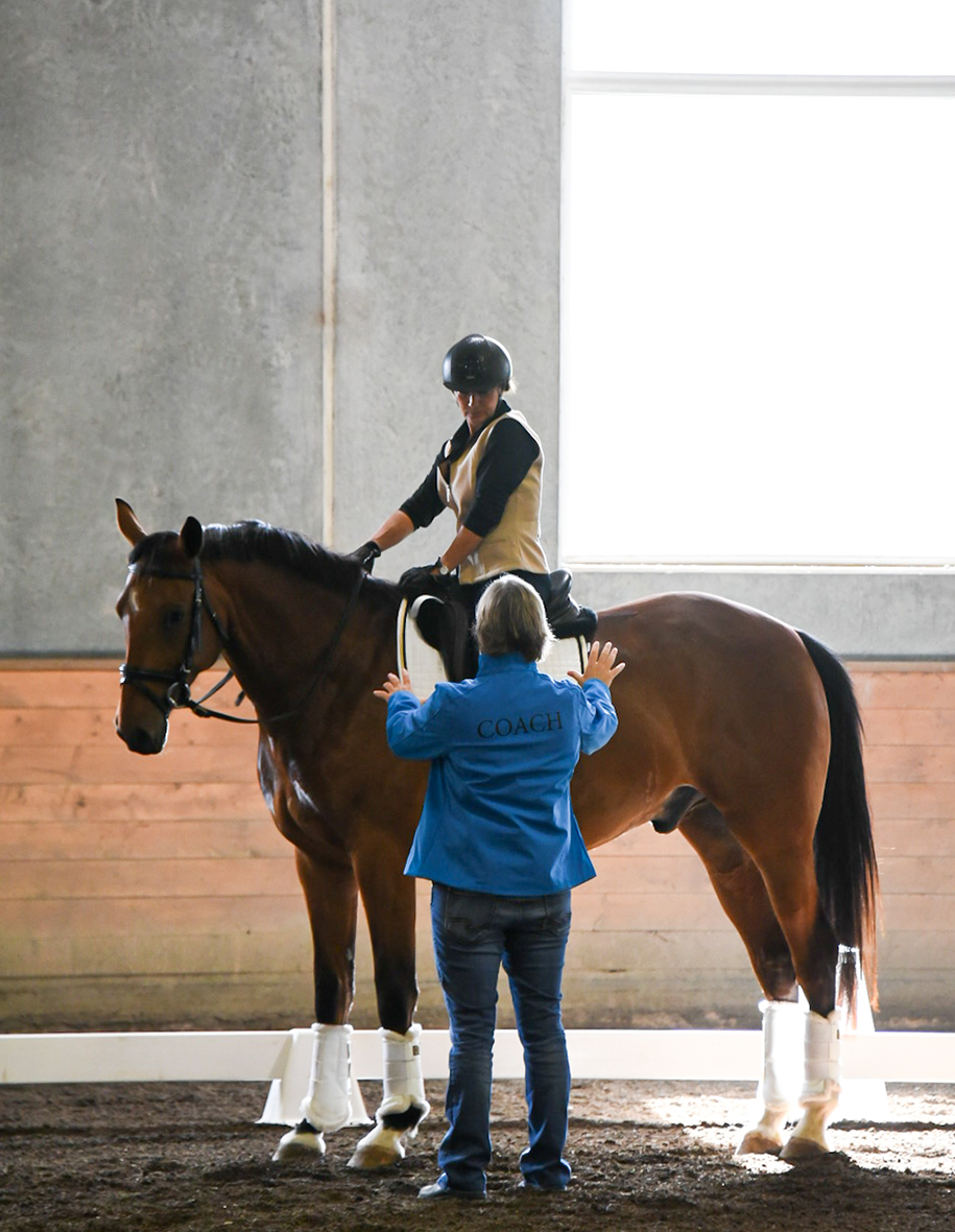 Instructor educating rider on a horse
