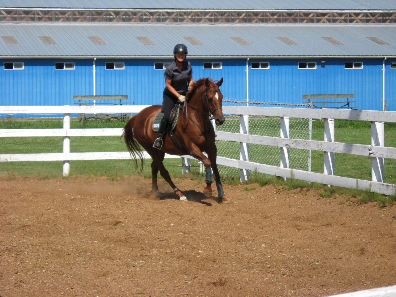 Canter Away Current Spring Winner