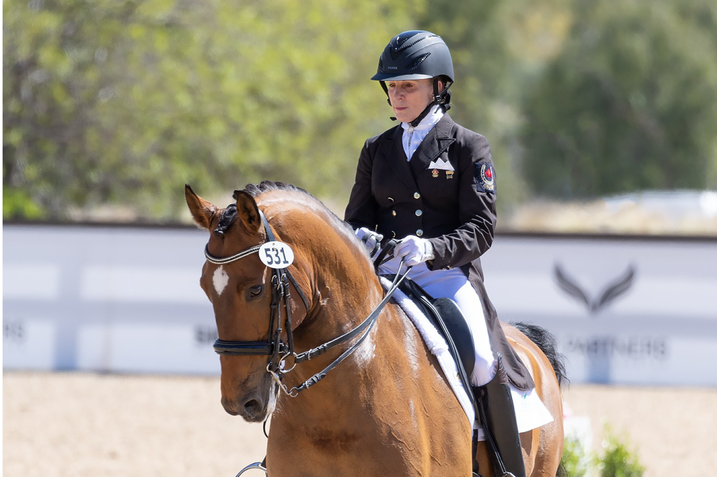Canter Away Current Fall 2024