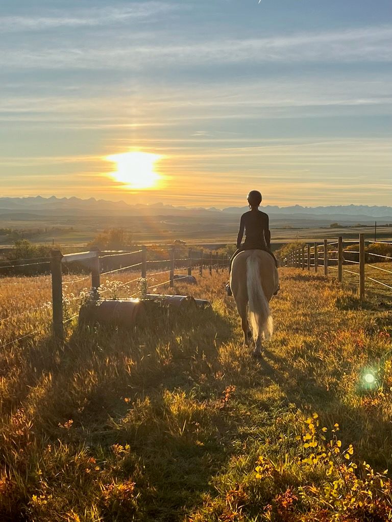 Youth riding a smoky palomino on a trail between two wire fences at sunset