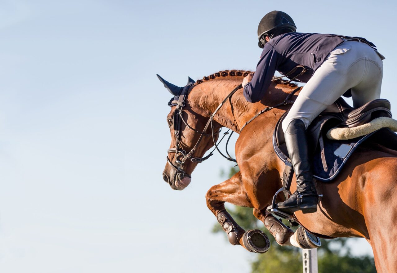 Acclaimed Hunter/Jumper Coach Headlines Clinic in Alberta this Fall