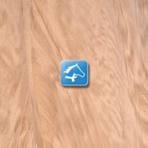 Alberta Equestrian Federation Lapel Pin