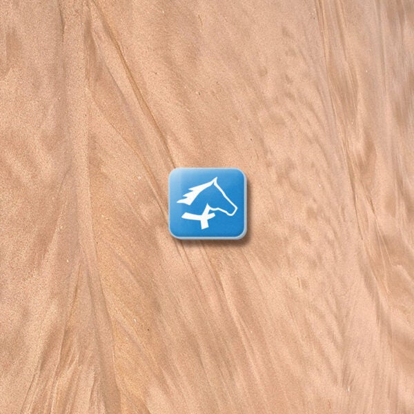 Alberta Equestrian Federation Lapel Pin