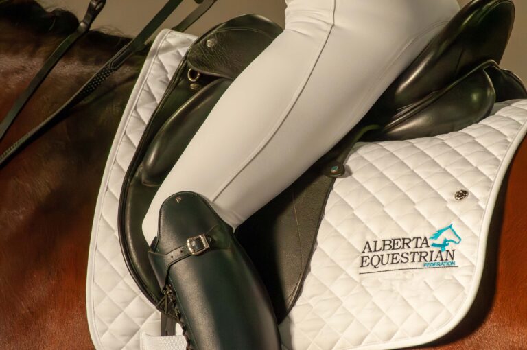 2026 AEF/EC Dressage Judge’s Clinic