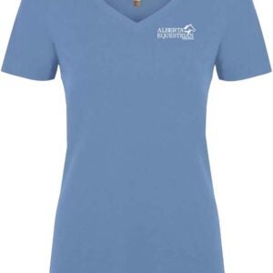 Women's V-Neck T-Shirt - Image 2