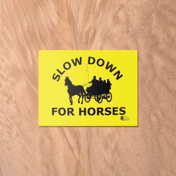Slow Down For Horses - Driving
