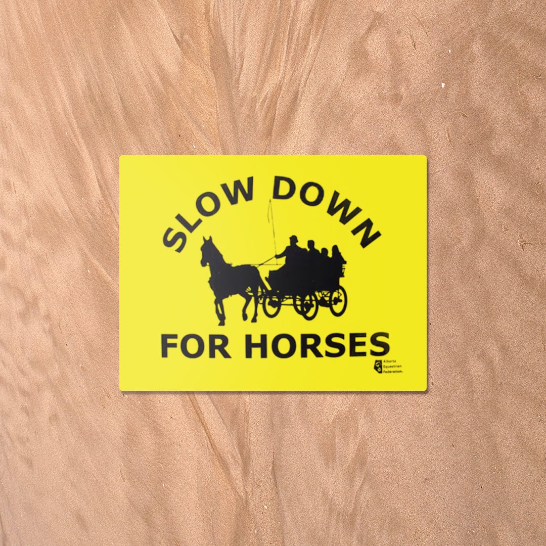 Slow Down For Horses - Driving - Image 1