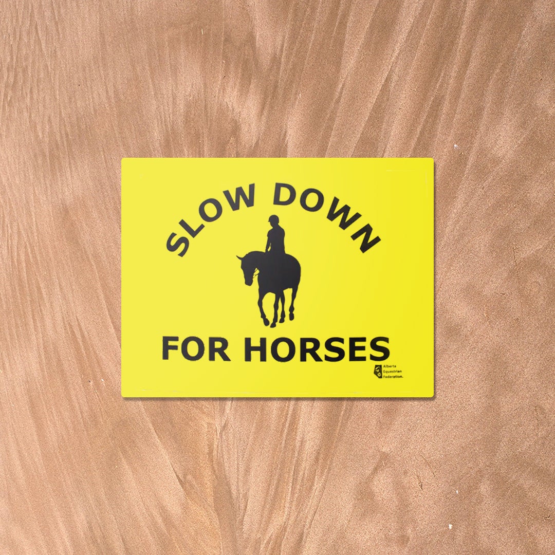 Slow Down For Horses - English - Image 1