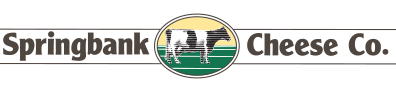 logo (1)